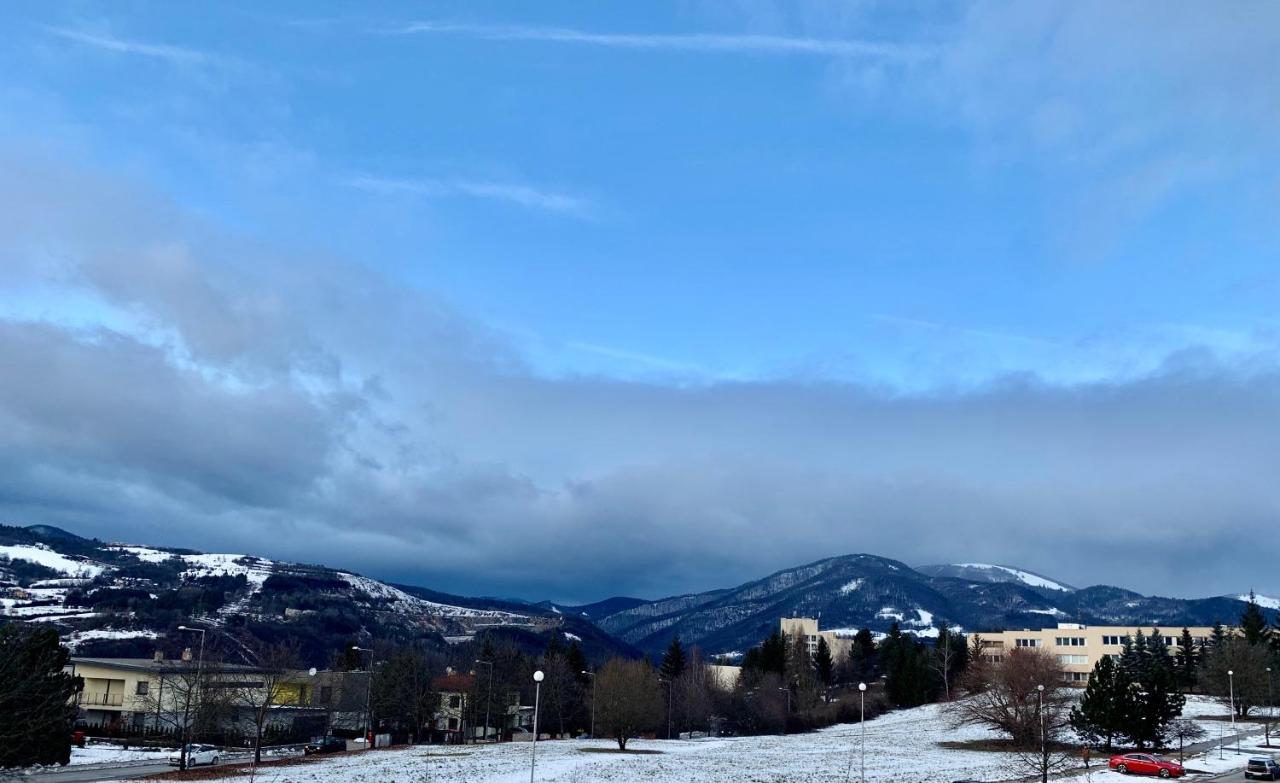 Bl - The Executive Suite, Boru - 24Hr Self Check-In, Free Private Parking, Balcony With Mountain View, 5 Minute Walk To City Center Banská Bystrica Eksteriør bilde