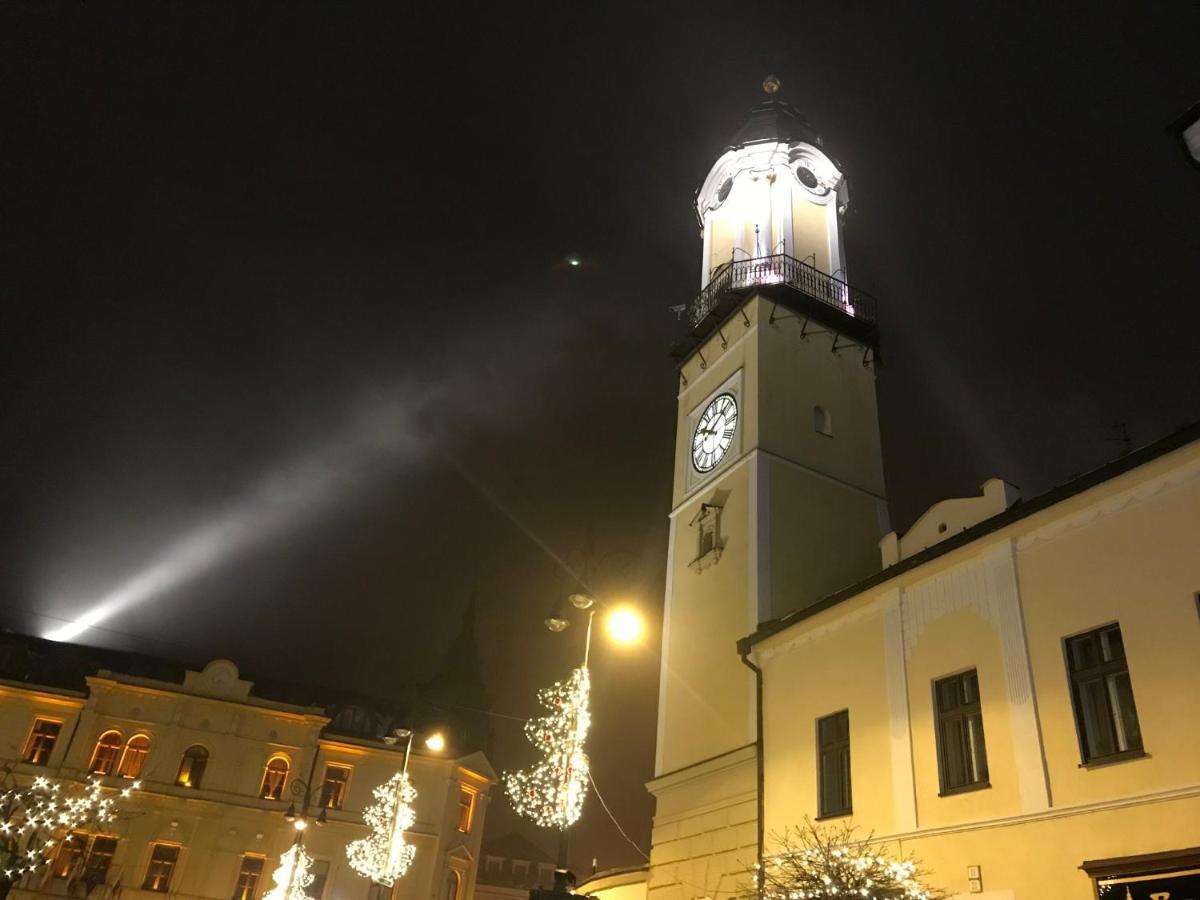 Bl - The Executive Suite, Boru - 24Hr Self Check-In, Free Private Parking, Balcony With Mountain View, 5 Minute Walk To City Center Banská Bystrica Eksteriør bilde